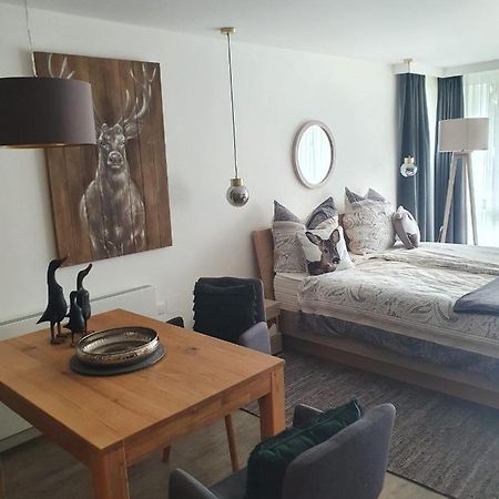 Maurers Schlierseetraum 6, Studio 455 mit 42 qm neu renoviert, Erdgeschoss mit Terrasse in ruhiger Lage am Kirchbichlweg 8 Exterior foto