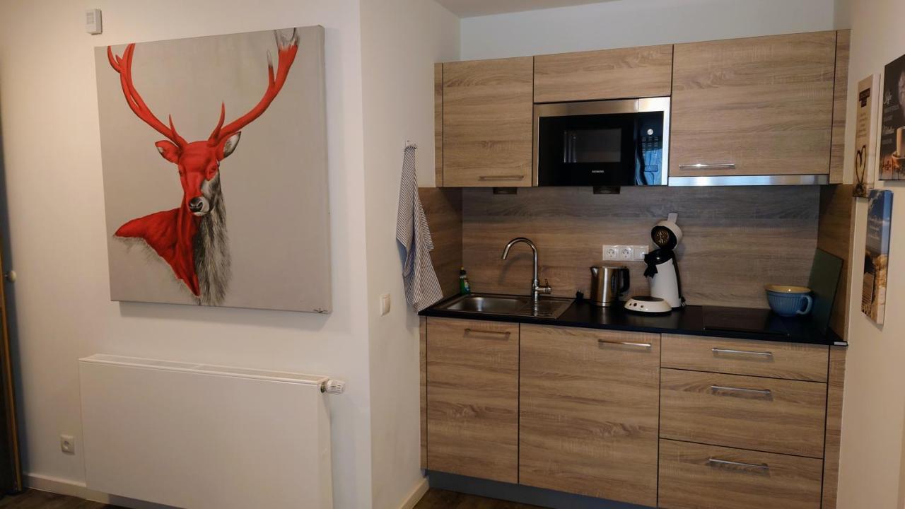 Maurers Schlierseetraum 6, Studio 455 mit 42 qm neu renoviert, Erdgeschoss mit Terrasse in ruhiger Lage am Kirchbichlweg 8 Exterior foto