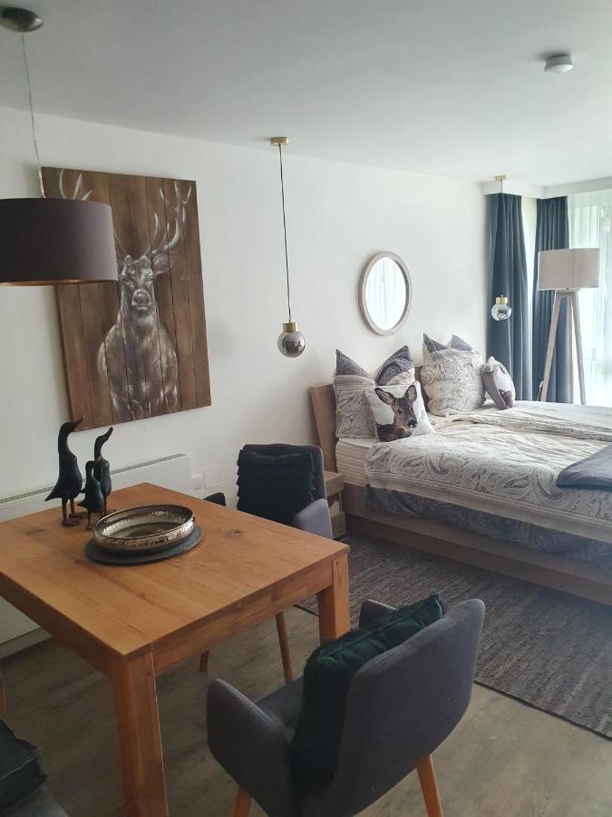 Maurers Schlierseetraum 6, Studio 455 mit 42 qm neu renoviert, Erdgeschoss mit Terrasse in ruhiger Lage am Kirchbichlweg 8 Exterior foto